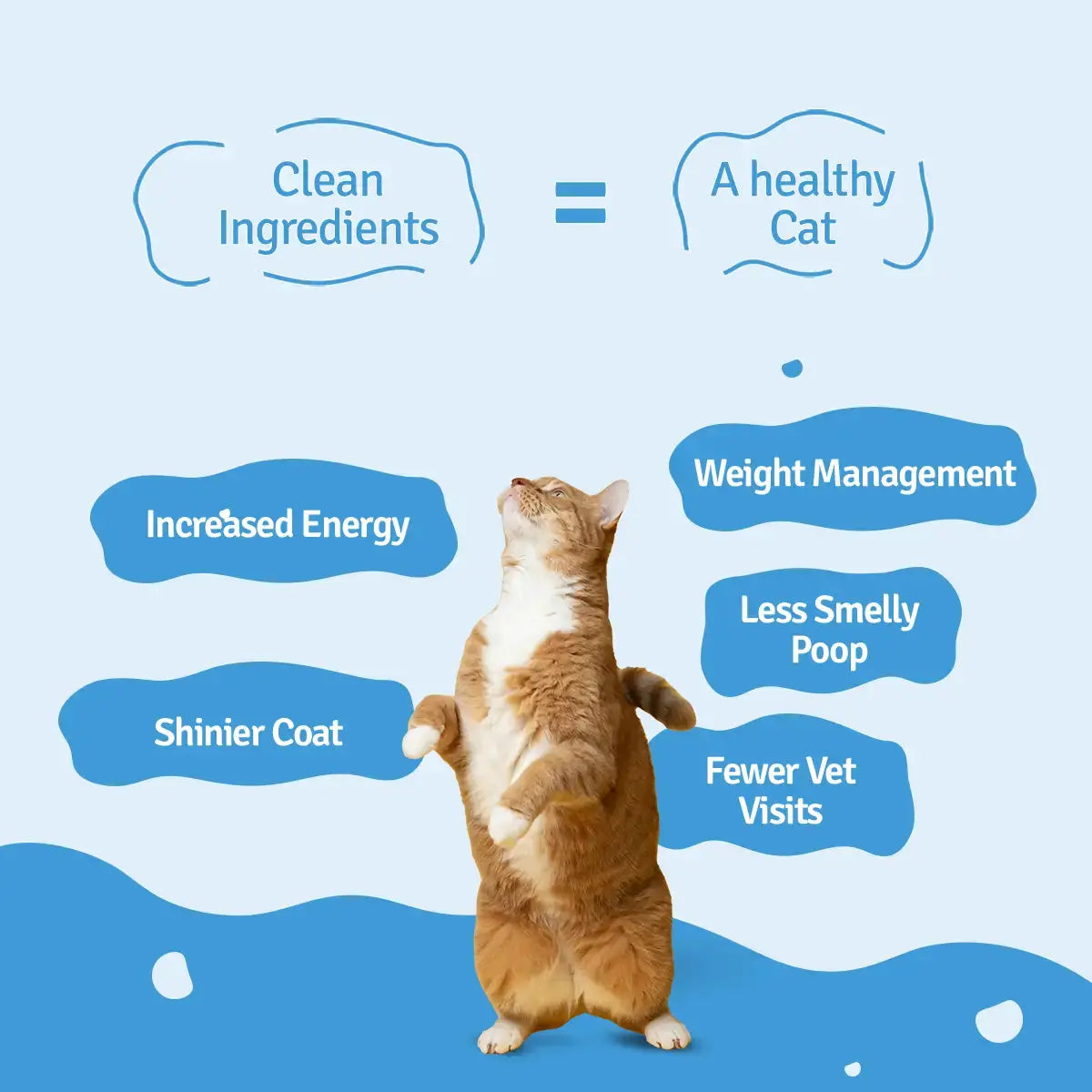 Try Mackerel Makerena Cat Food Trial Pack for Cat's health - Blep World