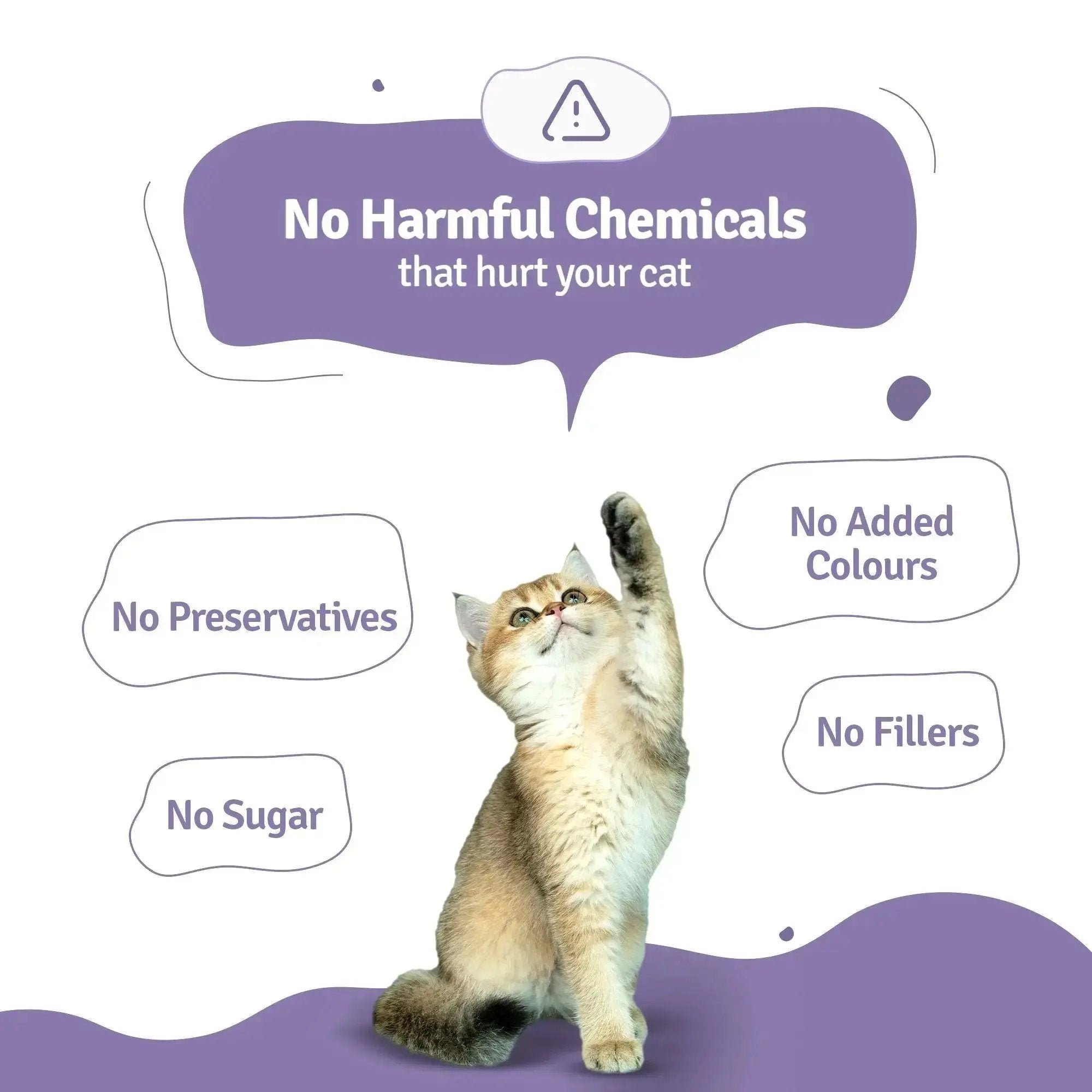 Monthly Pack of Mackerel Makarena Fresh Cat Food - 21 Packs of 100g BlepWorld