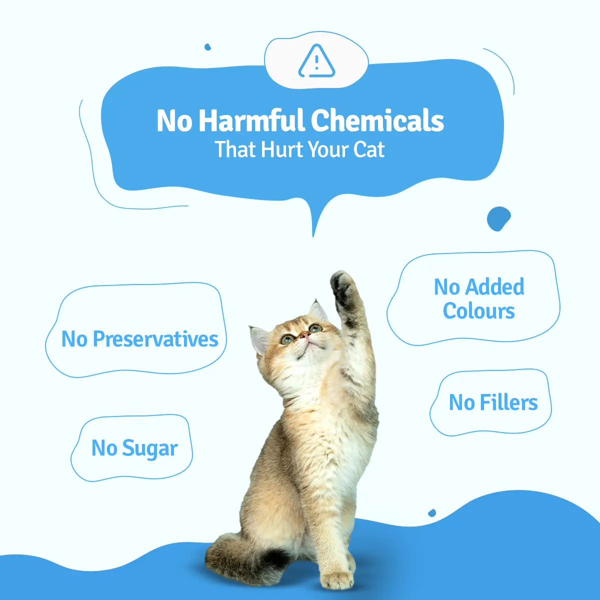 Mackerel Makarena Fresh Cat Food - Zero Preservatives