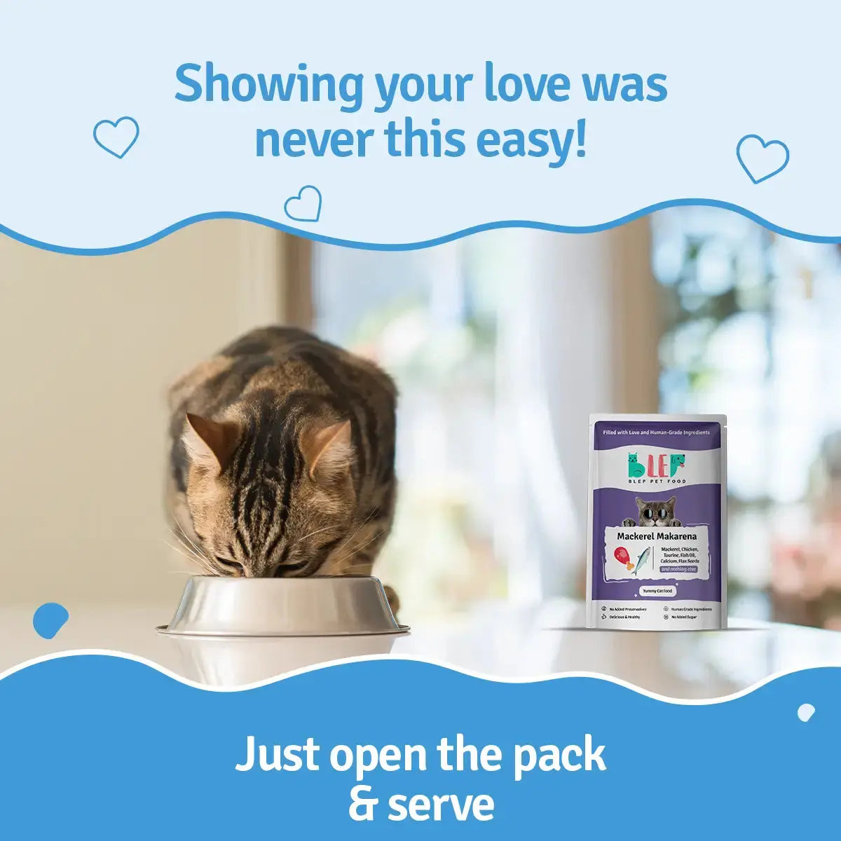 Mackerel Makarena Fresh Cat Food - Zero Preservatives BlepWorld