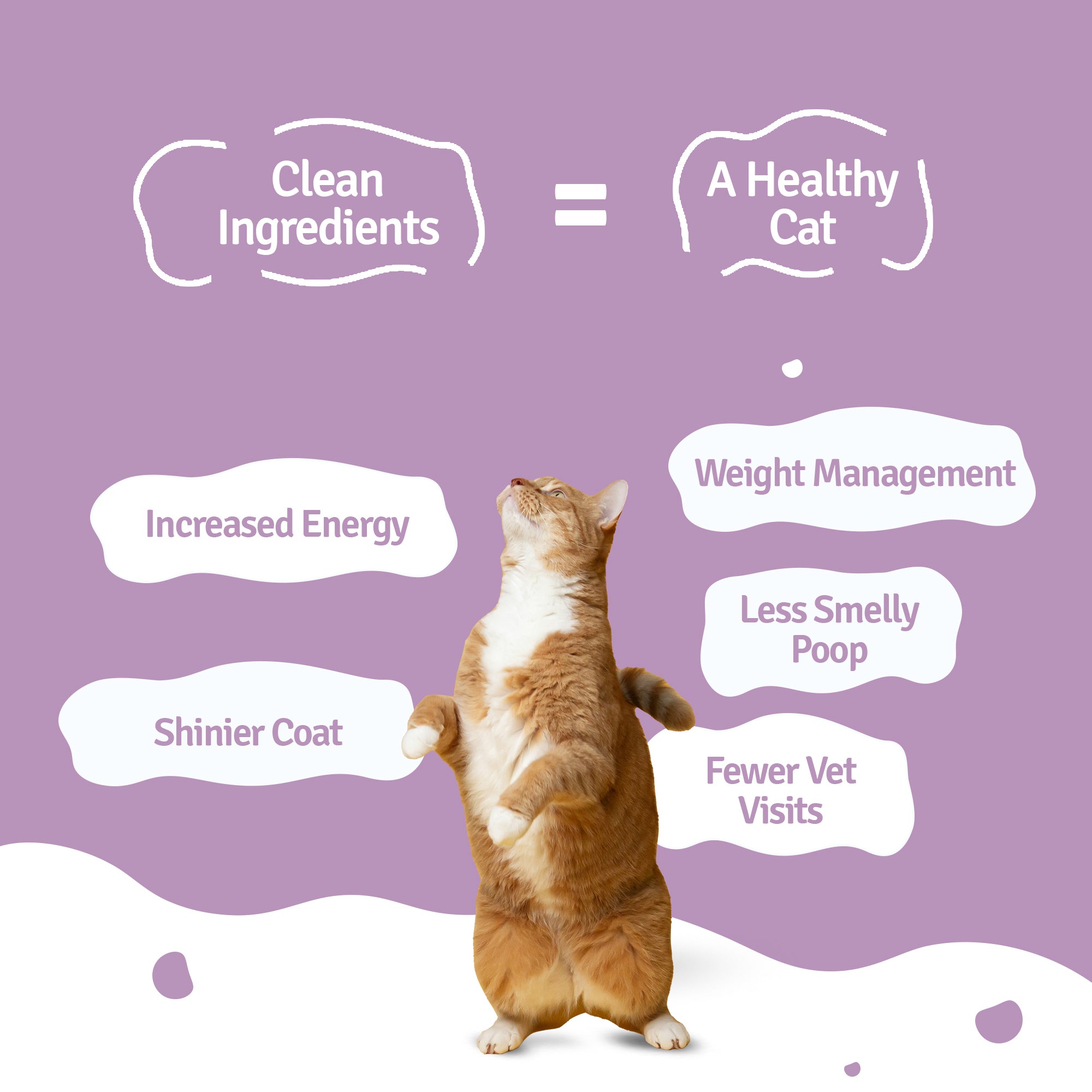 Slurpy Sardines Fresh Cat Food - Zero Preservatives