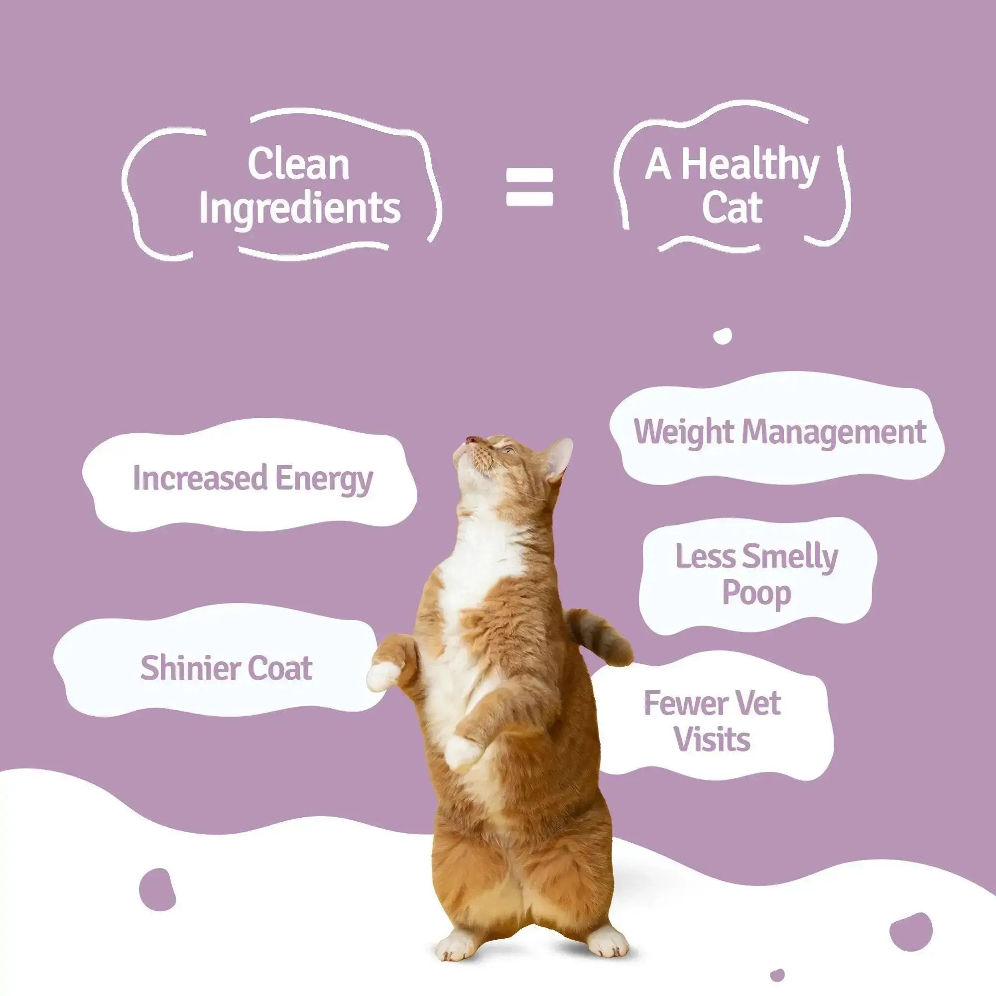 Monthly Pack of Slurpy Sardines Fresh Cat Food - 21 Packs of 100g BlepWorld