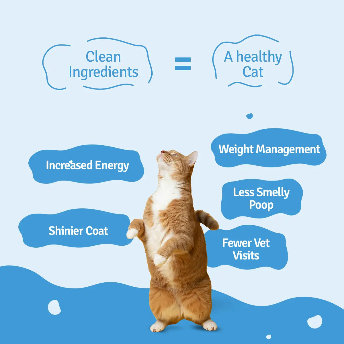 Slurpy Sardines Fresh Cat Food - Zero Preservatives