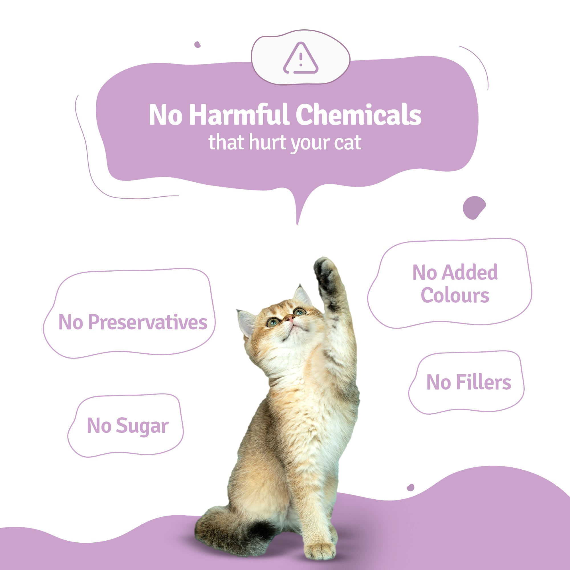 Slurpy Sardines Fresh Cat Food - Zero Preservatives
