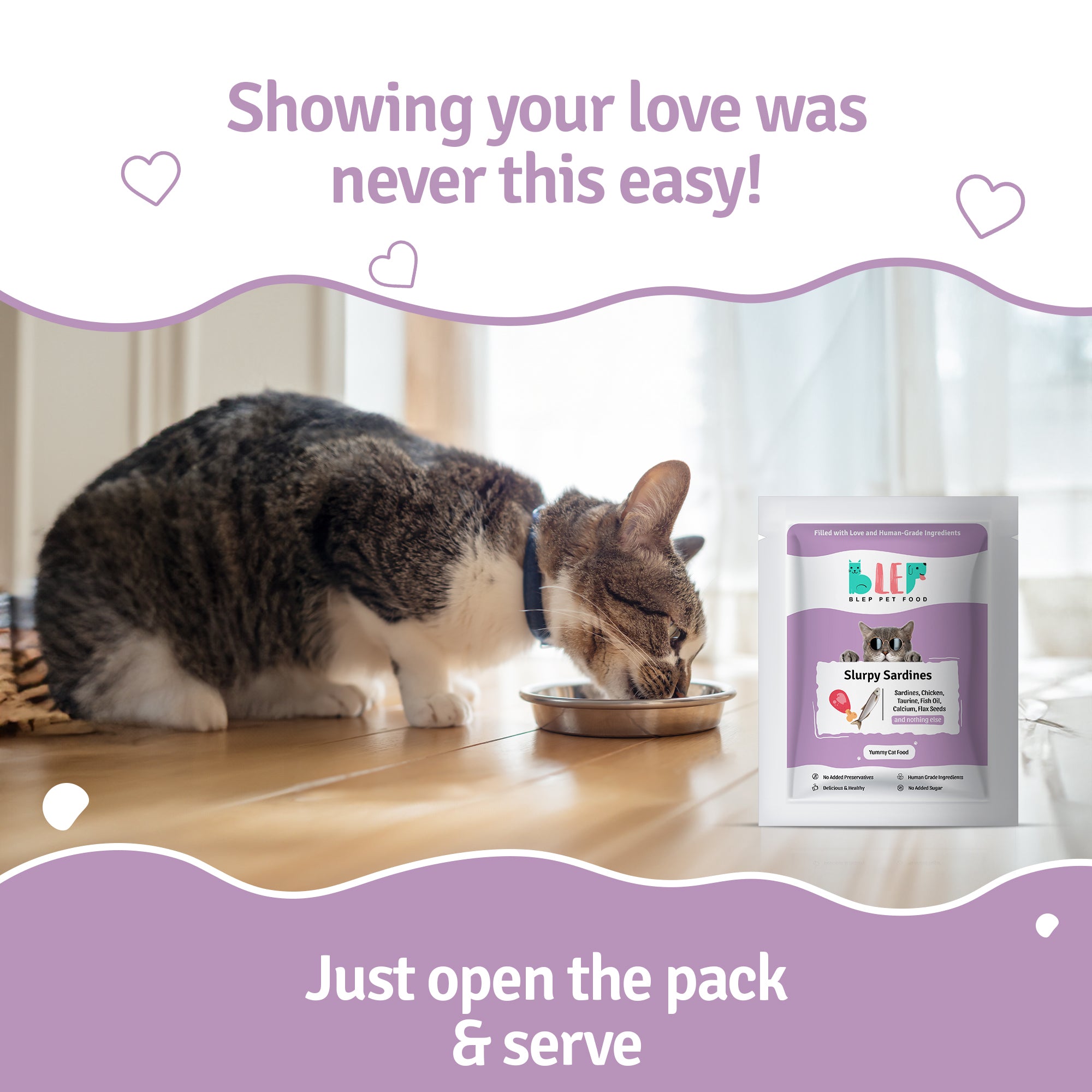 Slurpy Sardines Fresh Cat Food - Zero Preservatives