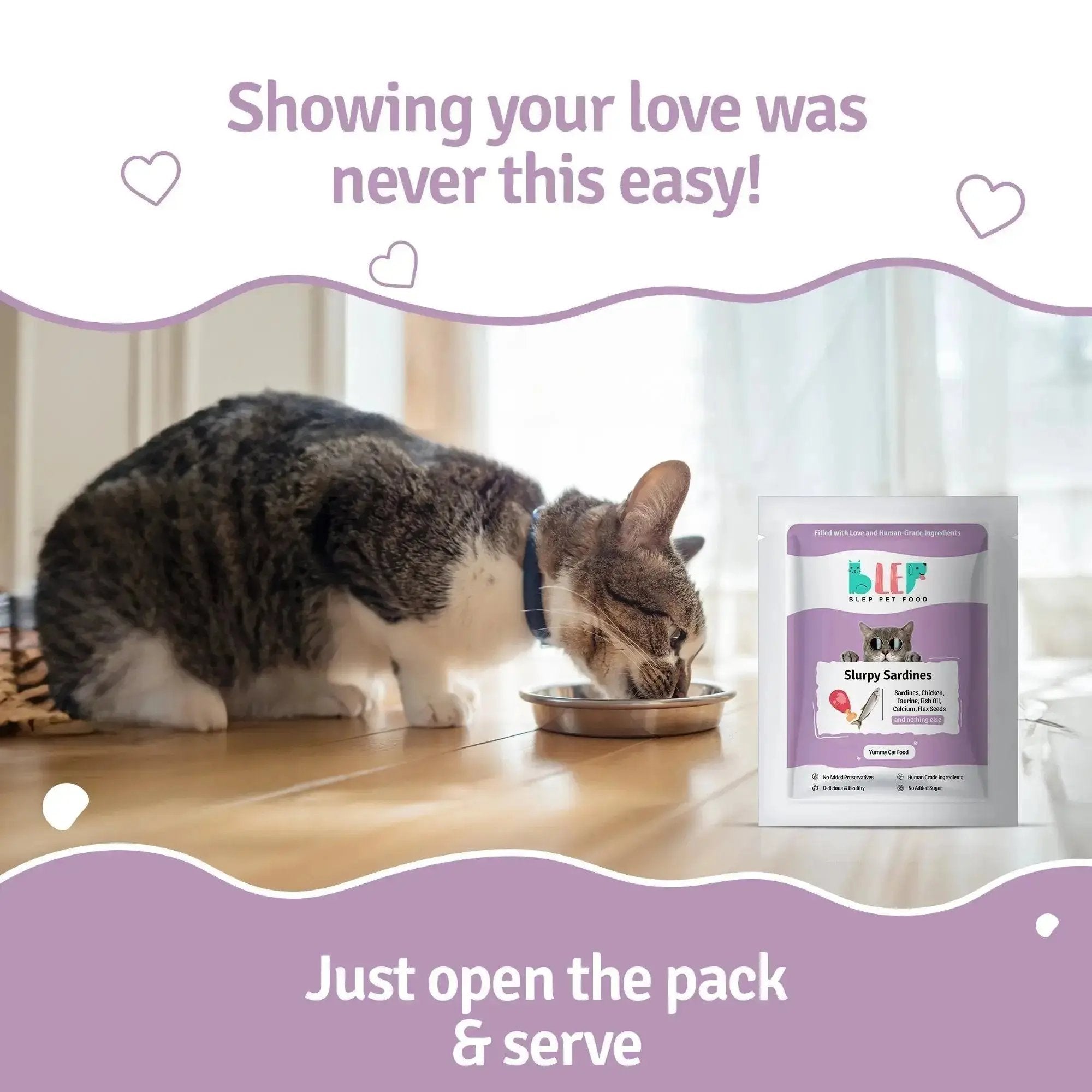 Monthly Pack of Slurpy Sardines Fresh Cat Food - 21 Packs of 100g BlepWorld