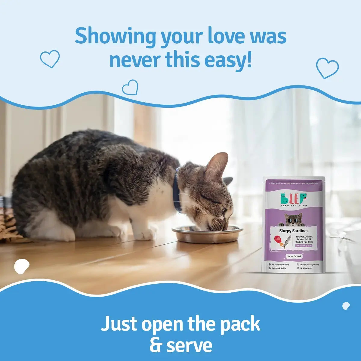 Monthly Pack of Slurpy Sardines Fresh Cat Food - 21 Packs of 100g BlepWorld