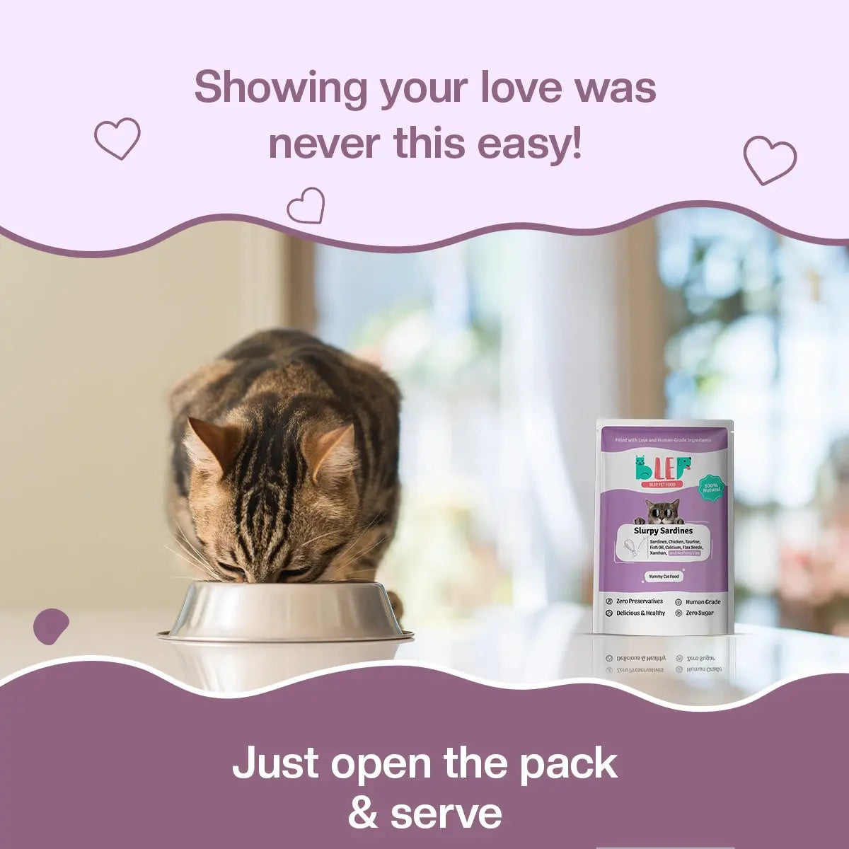 Slurpy Sardines Fresh Cat Food - Zero Preservatives