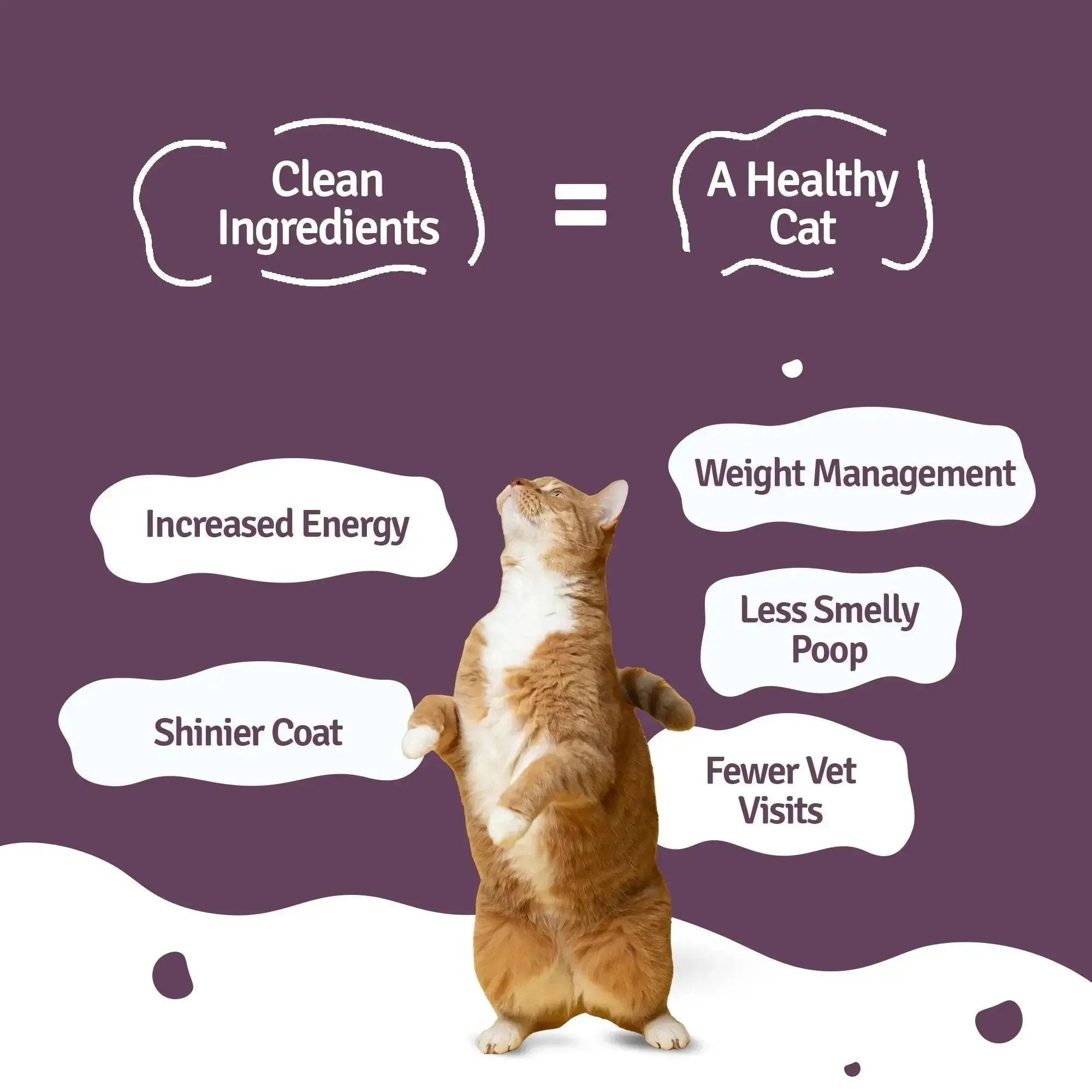 Benefits of Tuna Fresh Cat Food