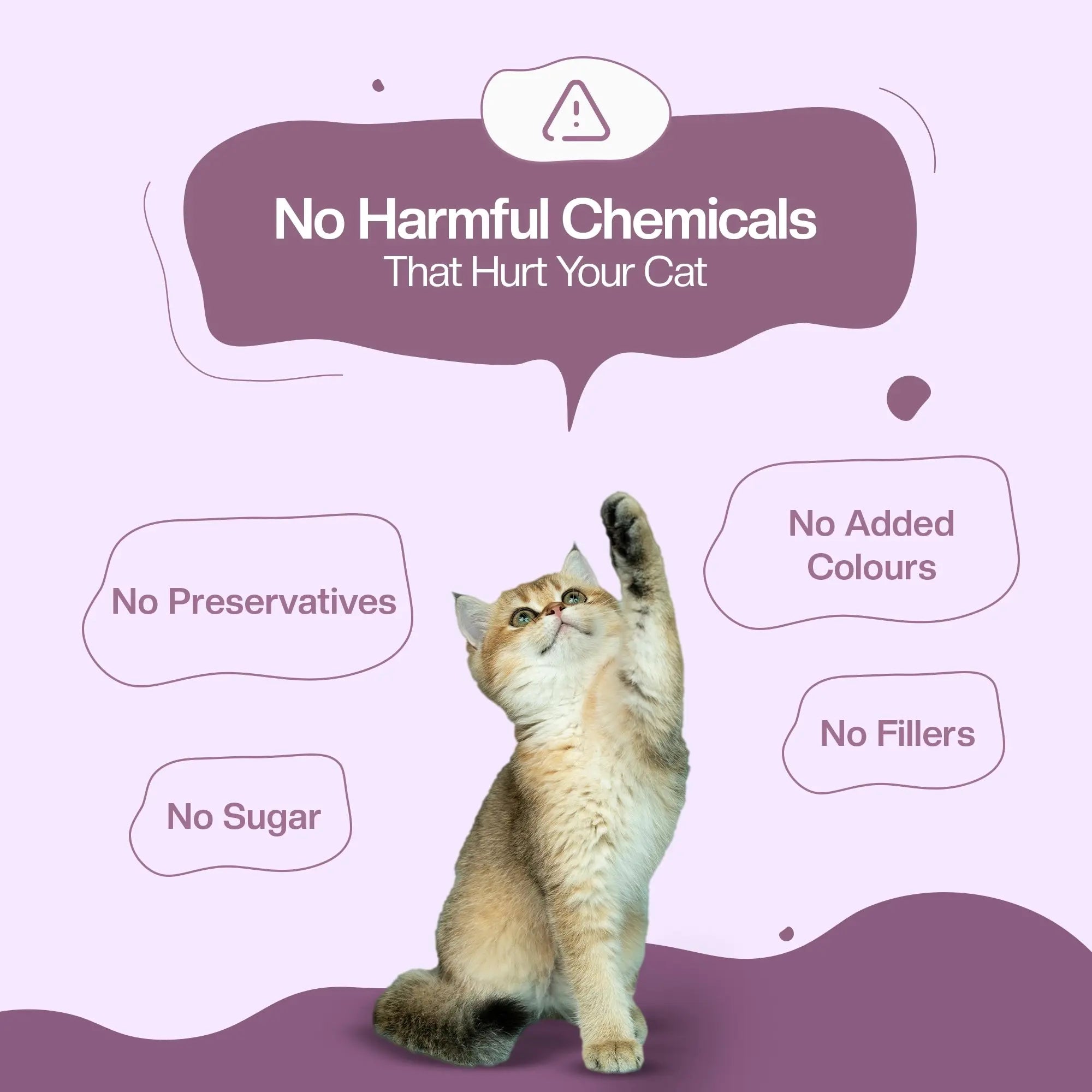 Tun-Tuna Fresh Cat Food Trial Pack