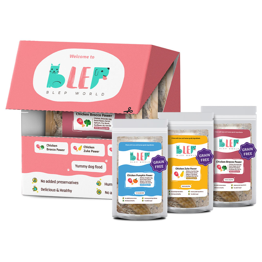 Chicken Pumpkin, Broccoli, Zucchini Dog Food Trial Box BLEP World