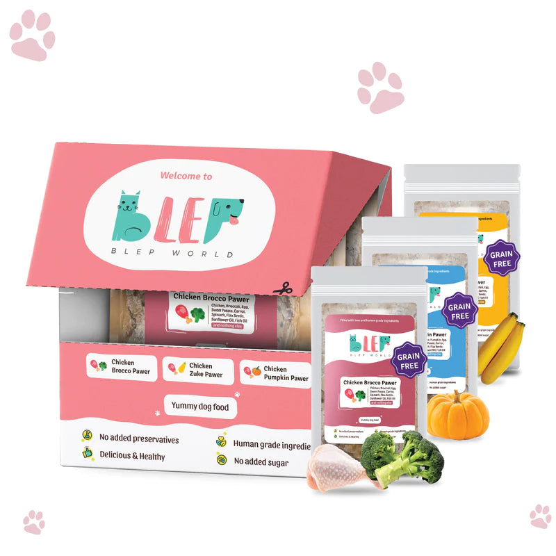 Chicken Pumpkin, Broccoli, Zucchini Dog Food Trial Box 6 Packs of 10