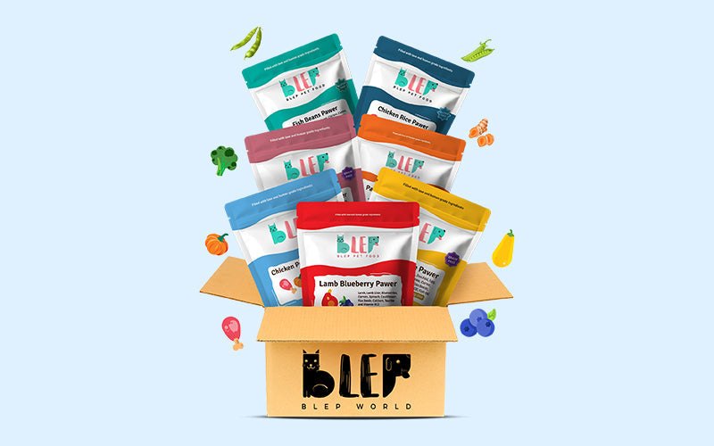 Best natural dog food in India