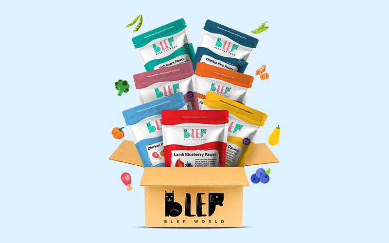 Best natural dog food in India