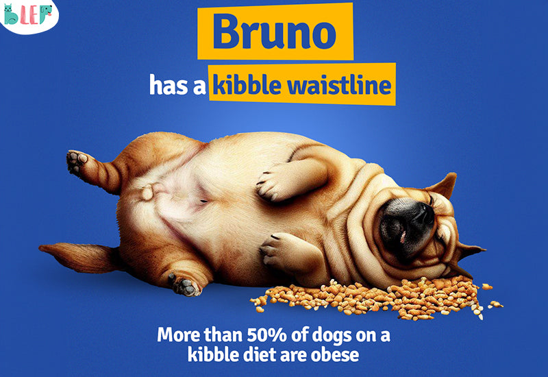 Dog foods for weight loss
