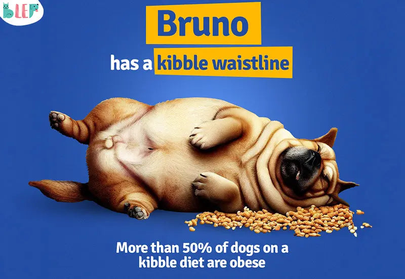 Dog-foods-for-weight-loss BlepWorld