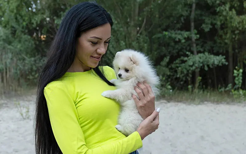 Best age to adopt a puppy: a complete puppy adoption timeline BlepWorld