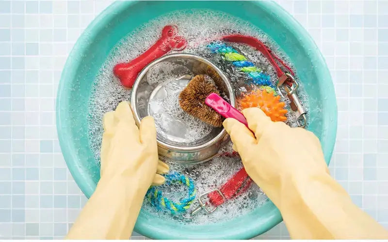 Guide to washing your dog’s accessories