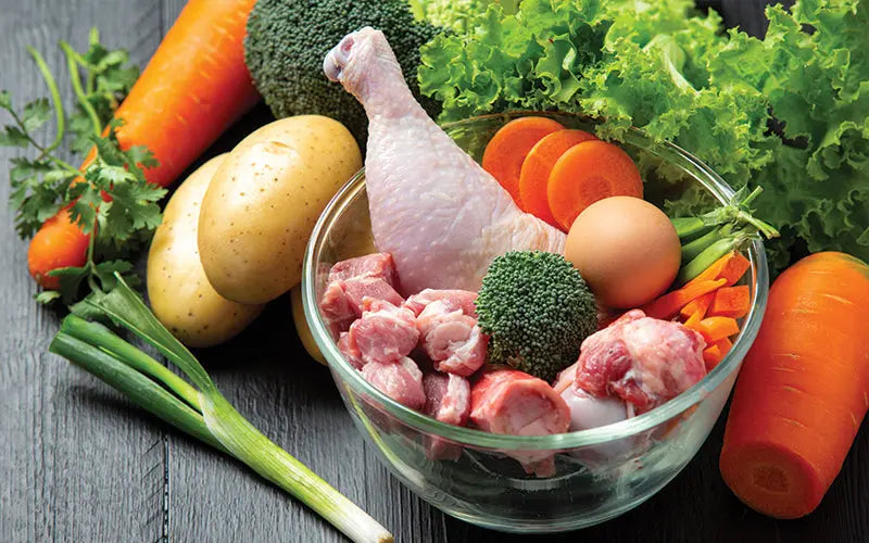 Balanced Dog Diet