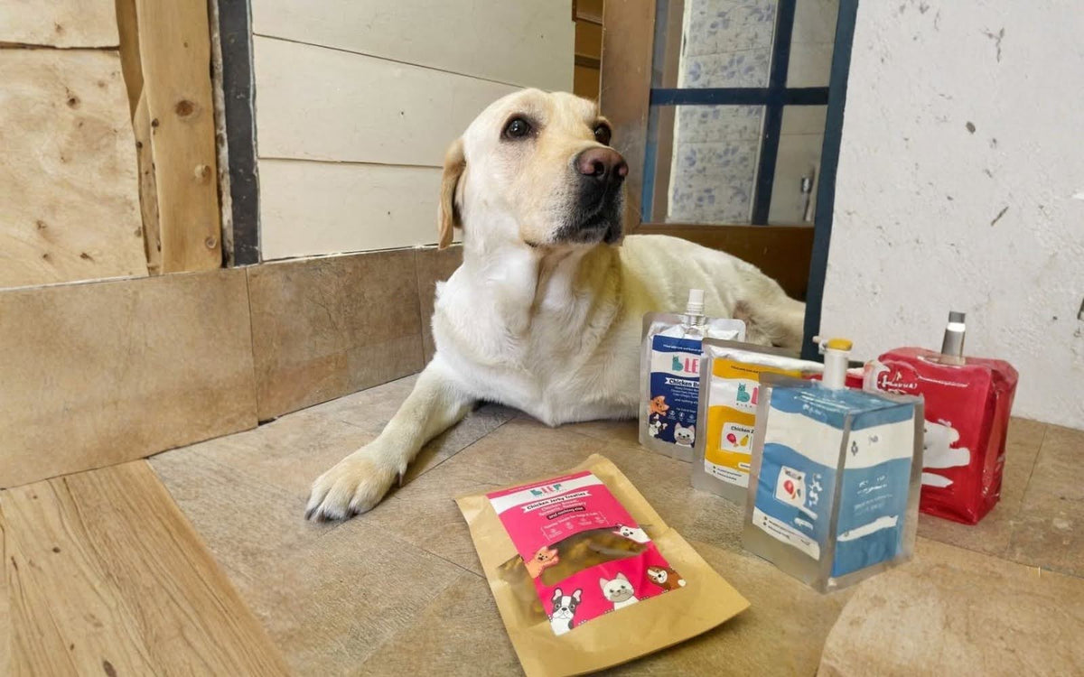 Dog treats in India: what is actually in them, and how to check
