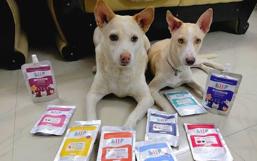 Gluten-Free Dog Food in India: What It Means and Why It Matters