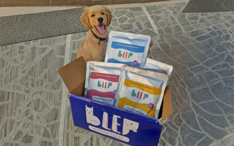 Best fresh dog food for dogs in India