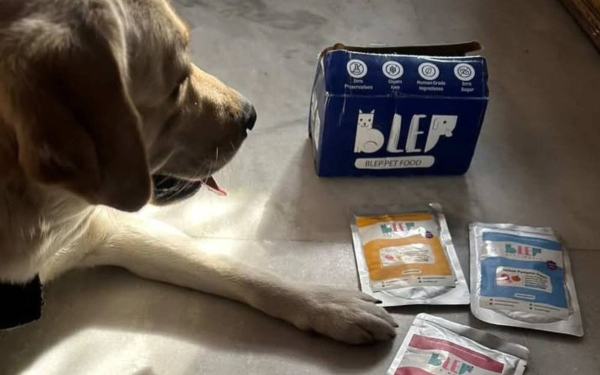 Retort dog food in India: What the process is and why it replaces preservatives