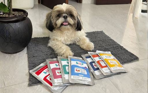 The Best Diwali Gifts for Pets This Year
