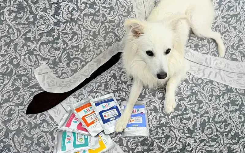 What makes BLEP dog food different: ‘zero preservatives’, ‘human-grade ingredients’ explained BlepWorld