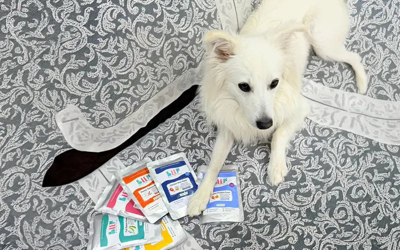 What makes BLEP dog food different: ‘zero preservatives’, ‘human-grade ingredients’ explained