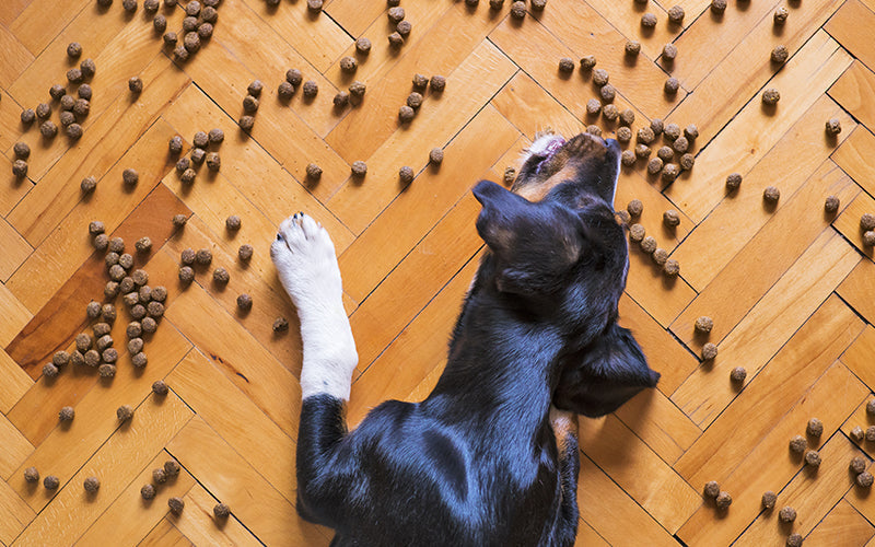 Kibbles