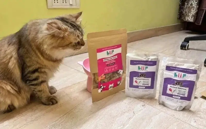 From kitten to cat