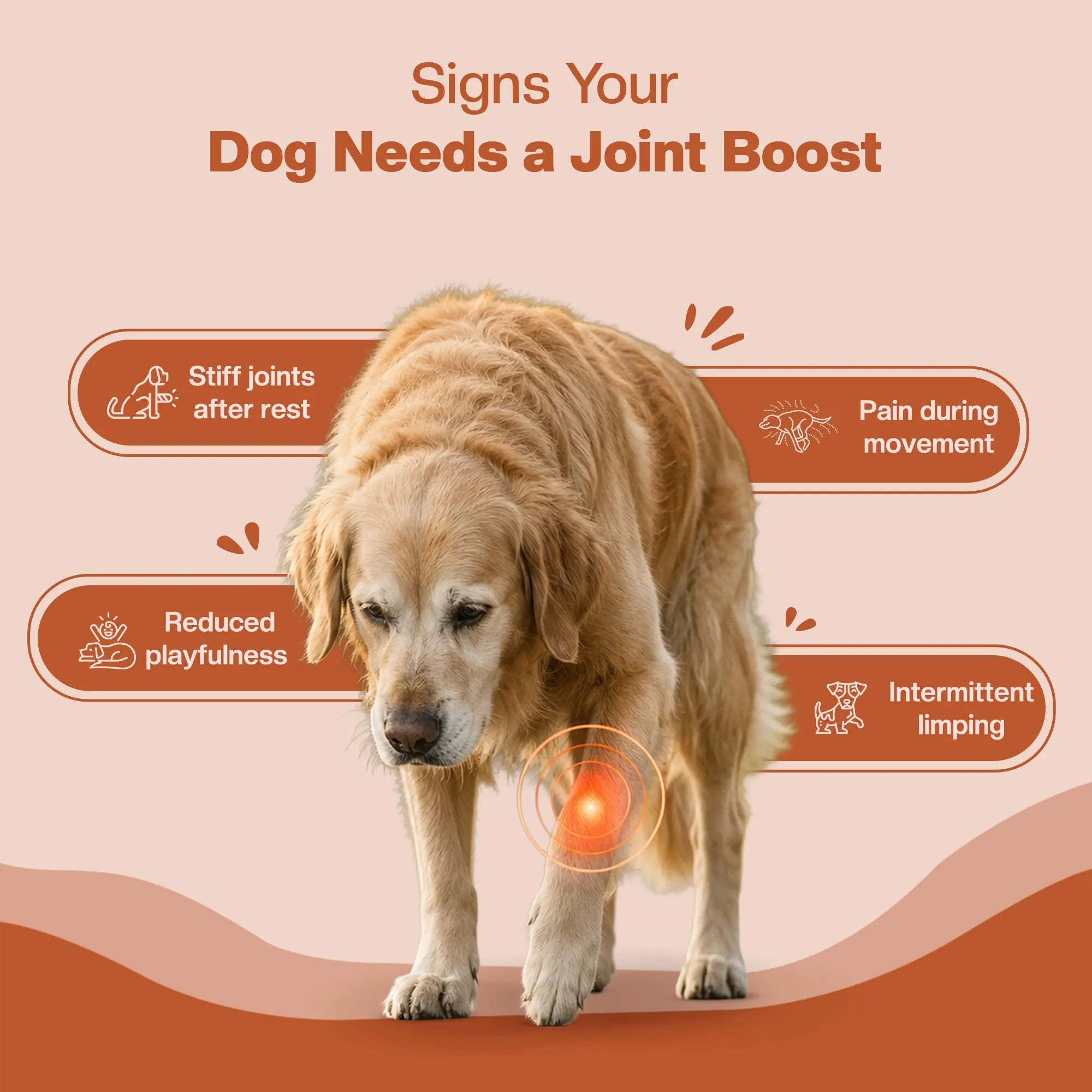 SUPER Joint Booster | Daily Supplements for Dogs