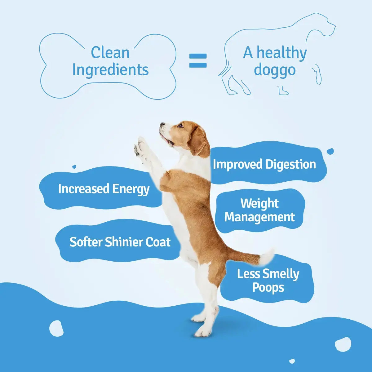 Monthly Pack of Chicken Pumpkin Fresh Dog Food BlepWorld