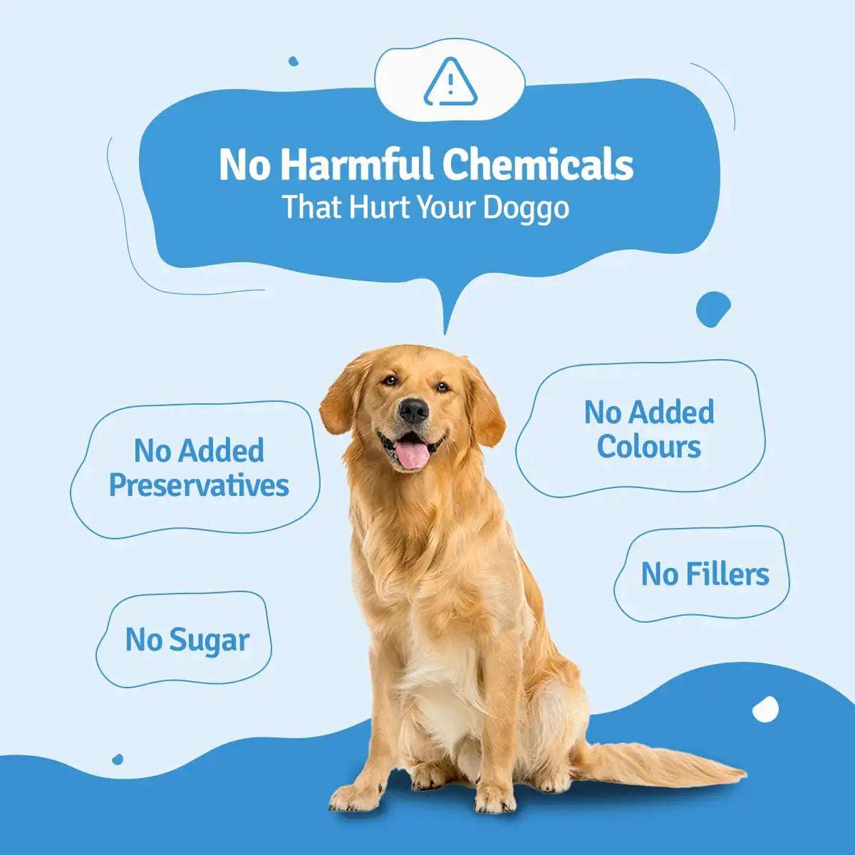 Paneer Quinoa Fresh Dog Food - No Preservatives BlepWorld