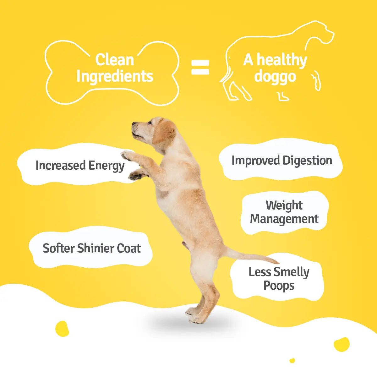 Chicken Zucchini Fresh Dog Food - Zero Preservatives
