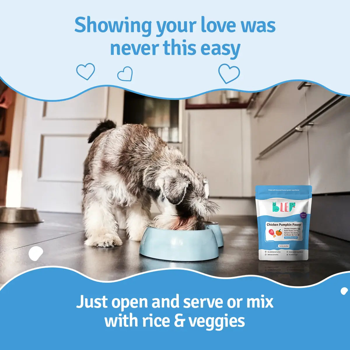 Chicken Pumpkin Fresh Dog Food - Zero Preservatives BlepWorld