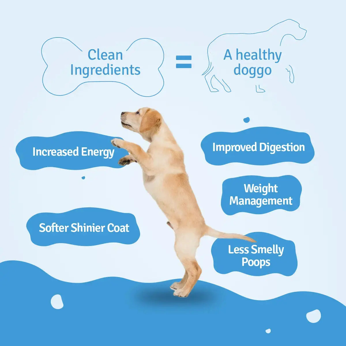 Monthly Pack of Chicken Zucchini Fresh Dog Food BlepWorld