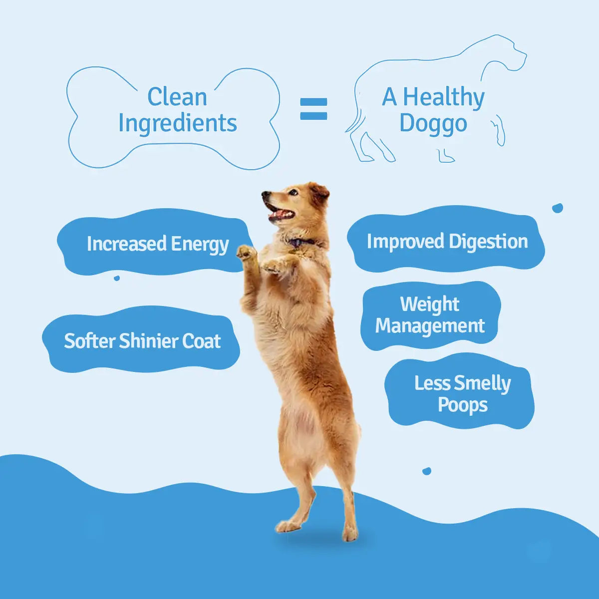 BLEP All-In-One Dog Food Trial Pack - Food, Broth & Treat