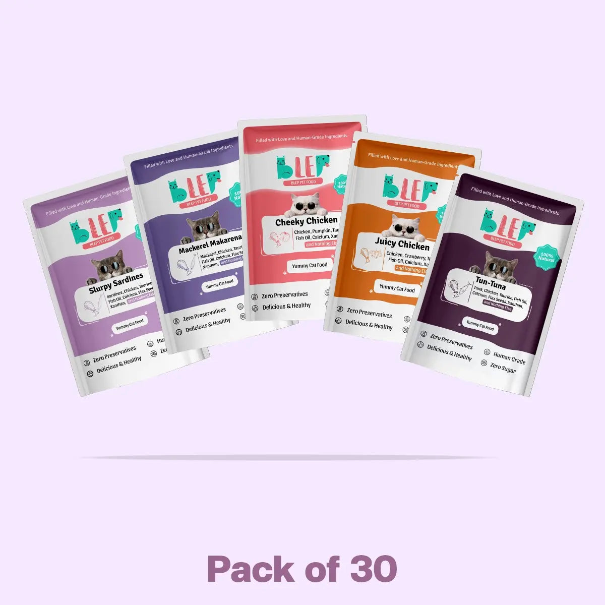 All Recipes Fresh Cat Food Monthly Pack - 100% Natural & Zero Preservatives