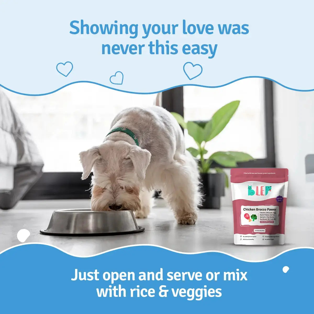 Chicken Broccoli Fresh Dog Food - Zero Preservatives BlepWorld