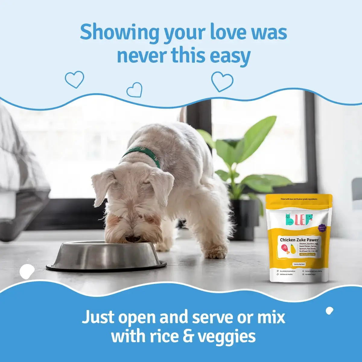 Chicken Zucchini Fresh Dog Food - Zero Preservatives BlepWorld