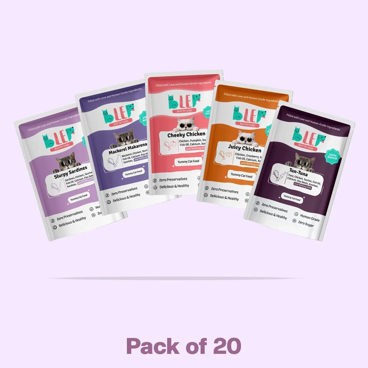 All Recipes Fresh Cat Food Monthly Pack - 100% Natural & Zero Preservatives