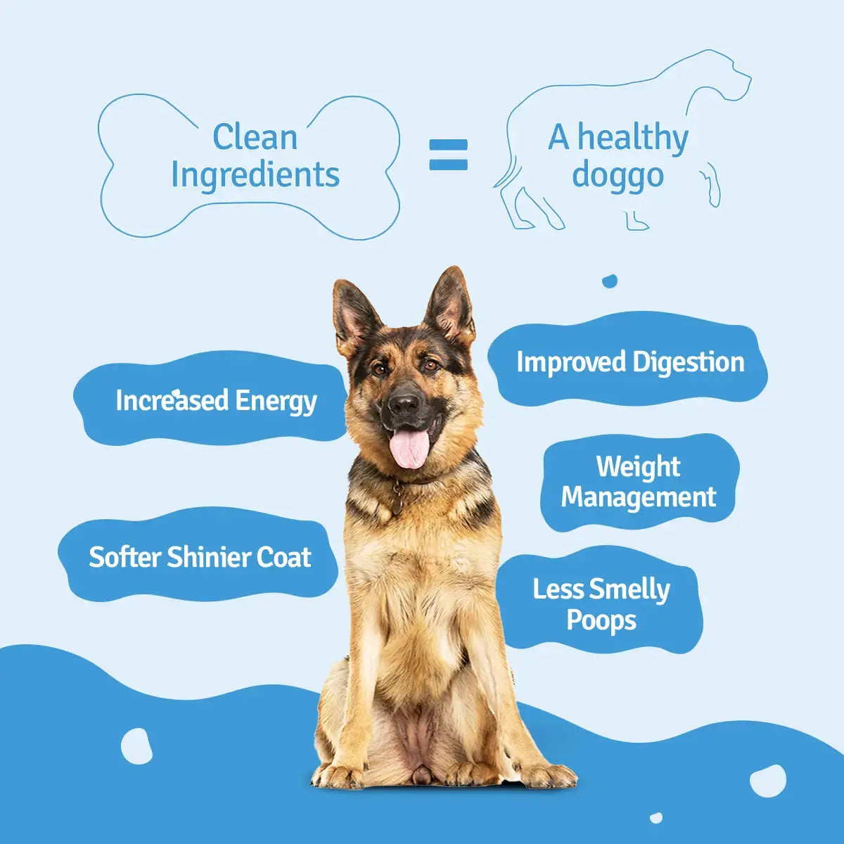 Monthly Pack of Lamb Blueberry Fresh Dog Food BlepWorld