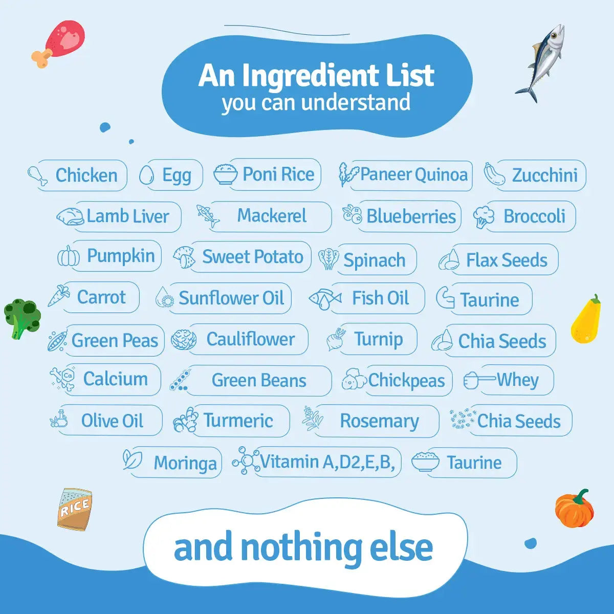 All Recipes Dog Food Trial Pack (Chicken, Lamb, Fish & Paneer) BlepWorld