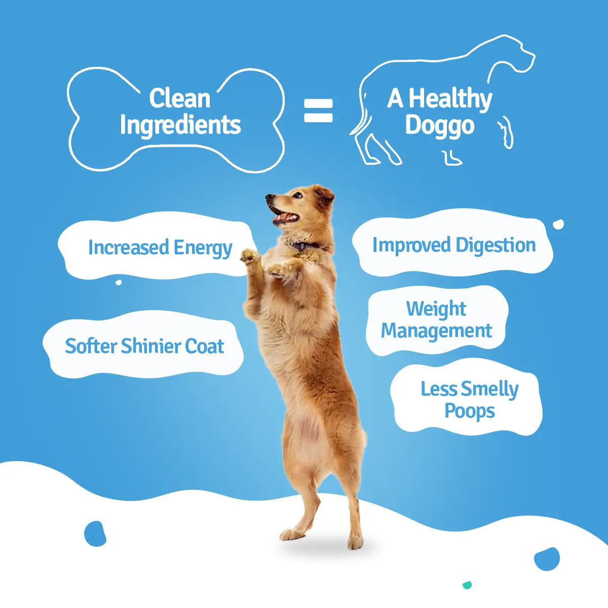 Monthly Pack of All Chicken Recipes of Fresh Dog Food (Pumpkin, Zucchini, Broccoli & Rice) - 28