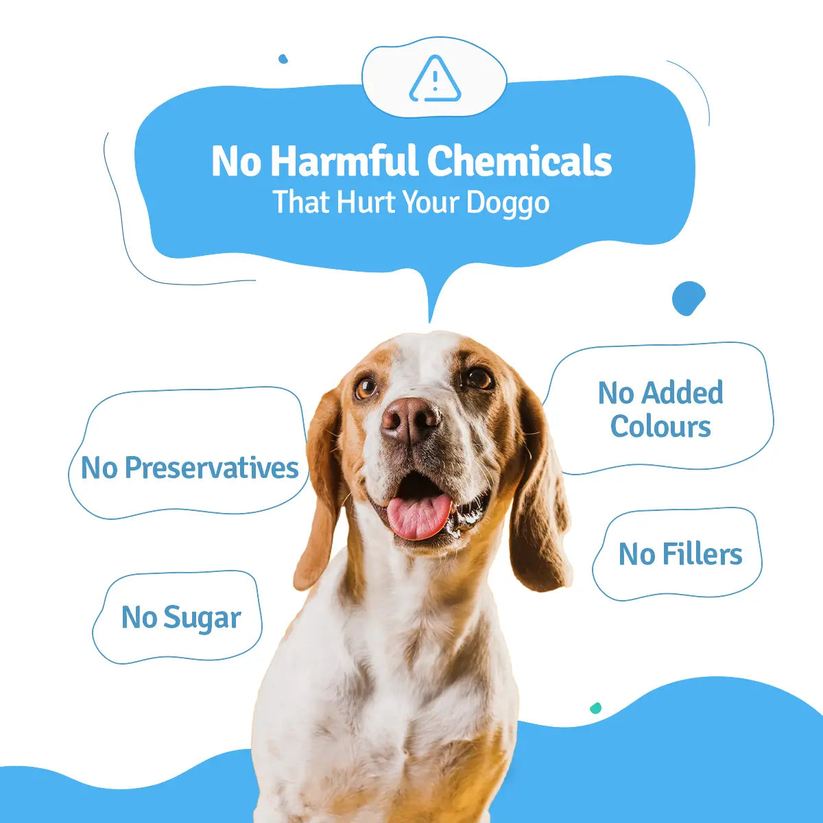 Monthly Pack of All Non-Veg Recipes of Fresh Dog Food (Chicken, Lamb & Fish) - 30