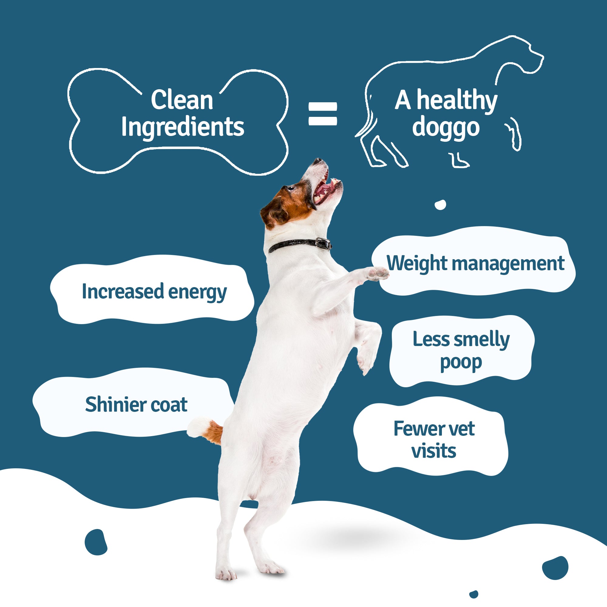 Healthy Doggo