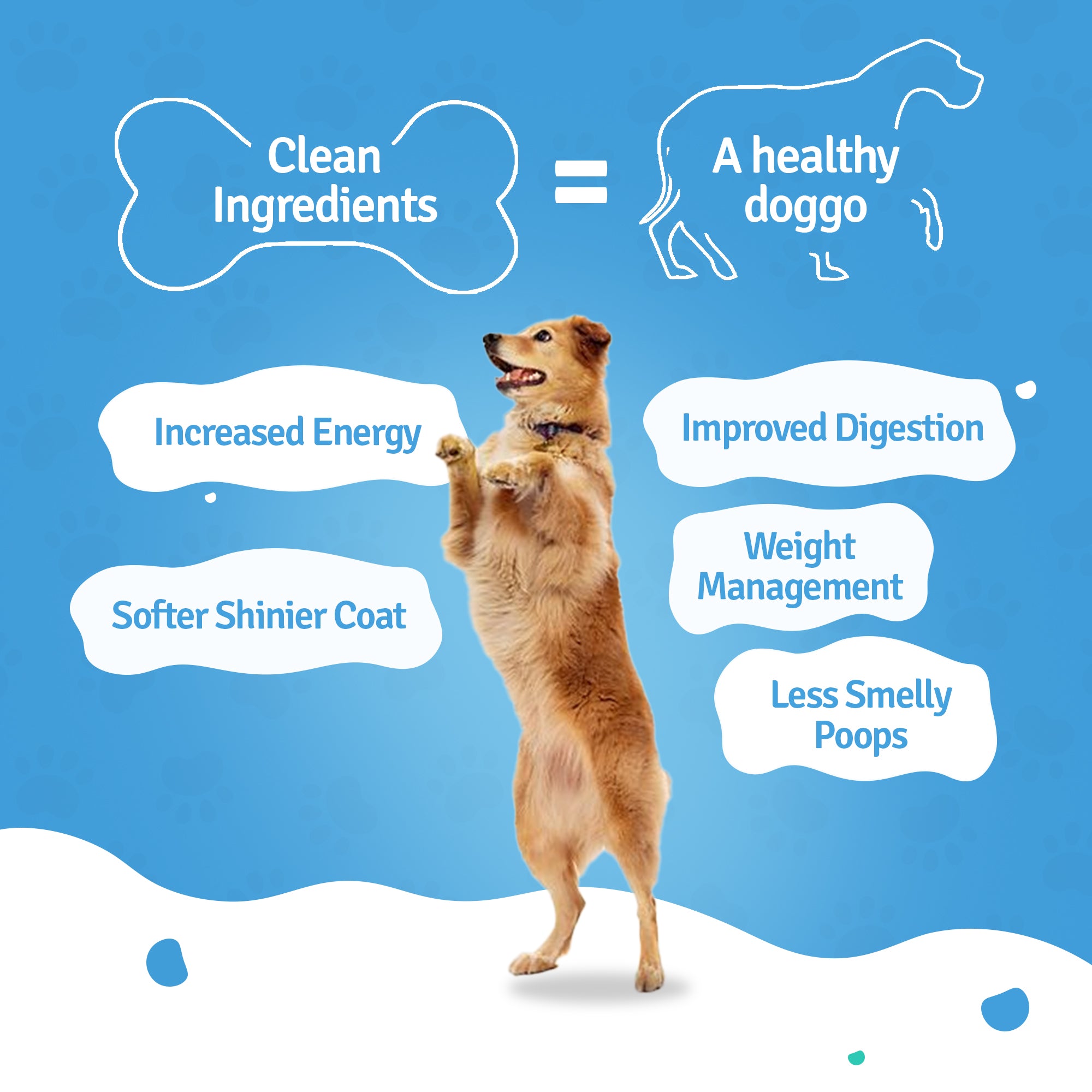Chicken Zucchini, Pumpkin & Broccoli Fresh Dog Food - 3 packs of 100g