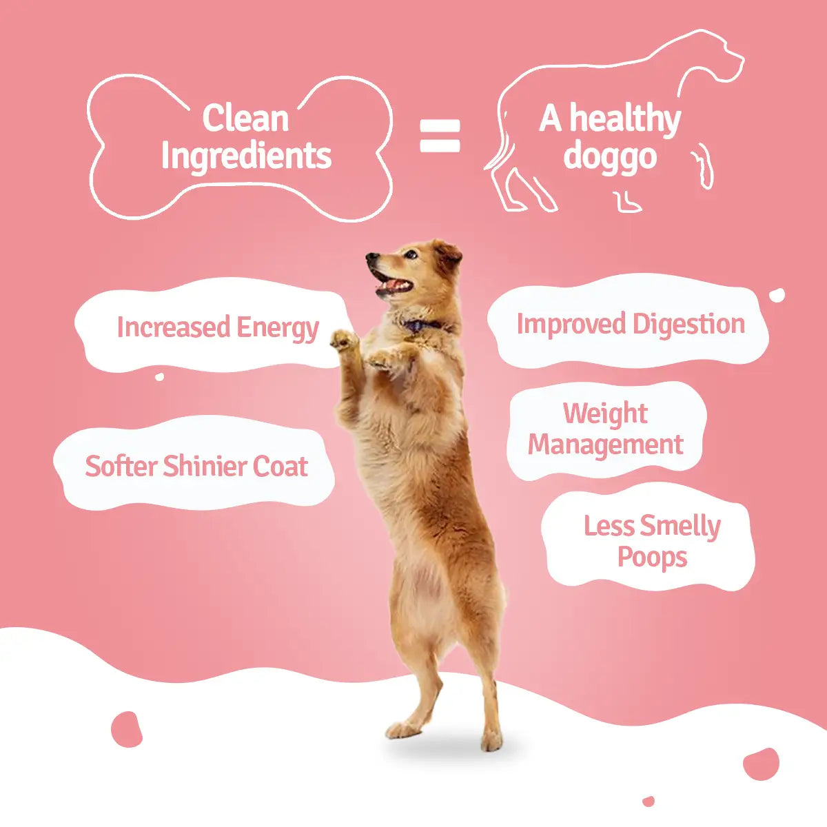 Chicken Zucchini, Pumpkin & Broccoli Fresh Dog Food - 3 packs of 100g
